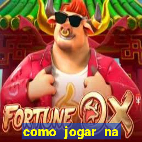 como jogar na teimosinha da lotofacil