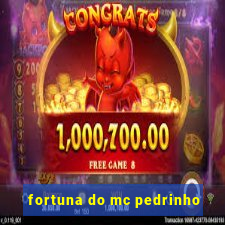 fortuna do mc pedrinho