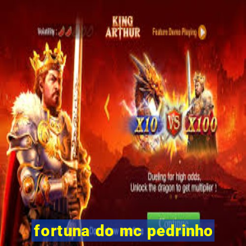 fortuna do mc pedrinho