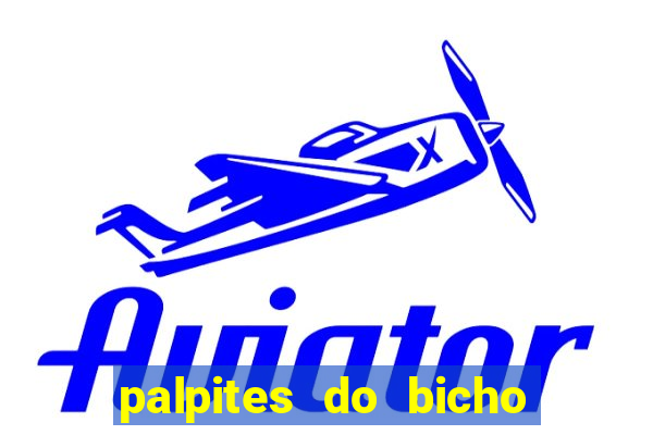 palpites do bicho no celular