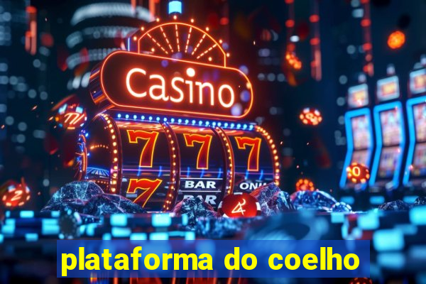 plataforma do coelho