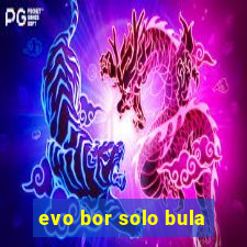 evo bor solo bula