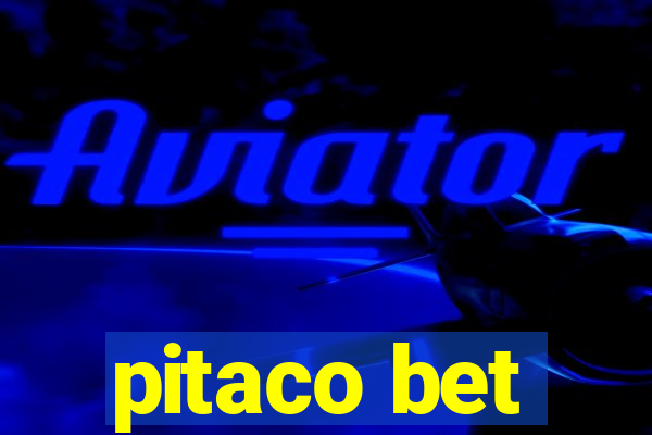 pitaco bet