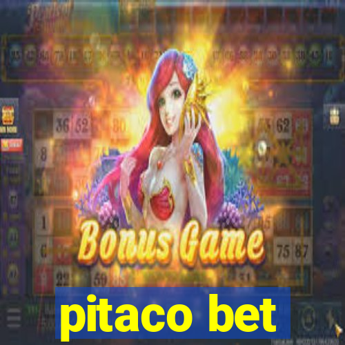 pitaco bet