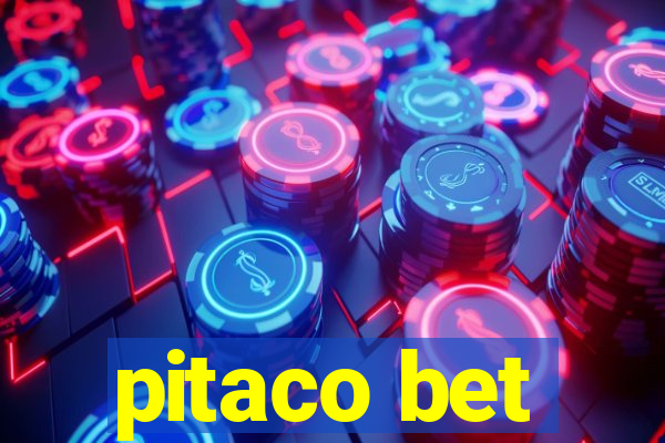 pitaco bet