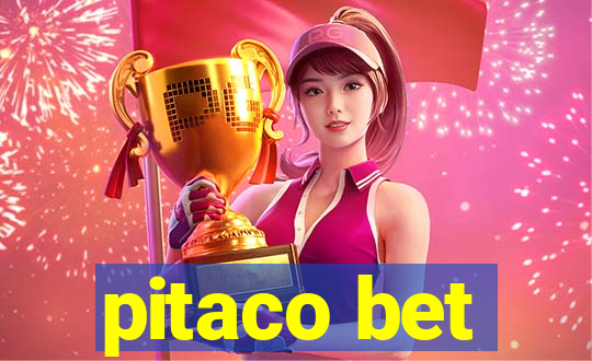 pitaco bet