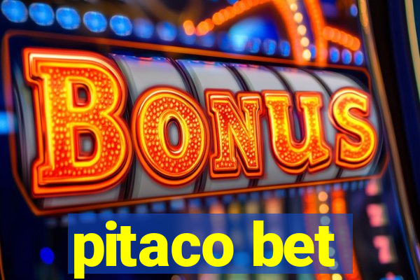 pitaco bet