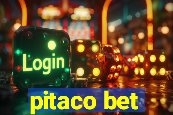 pitaco bet