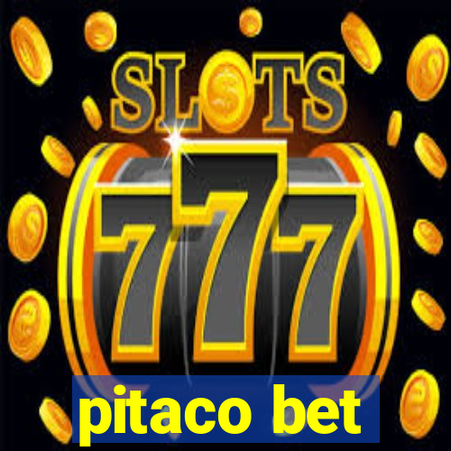 pitaco bet