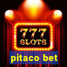 pitaco bet