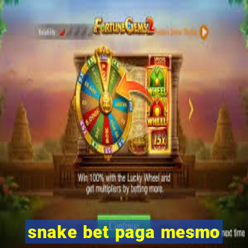 snake bet paga mesmo