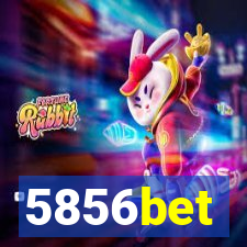 5856bet