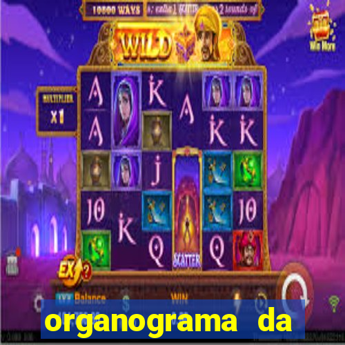 organograma da cacau show