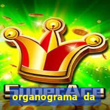 organograma da cacau show