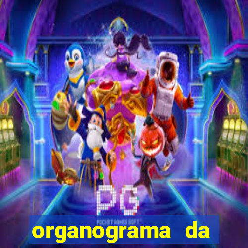 organograma da cacau show