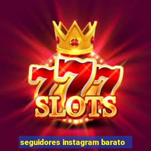 seguidores instagram barato