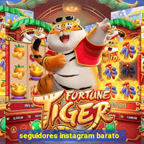 seguidores instagram barato