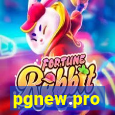 pgnew.pro