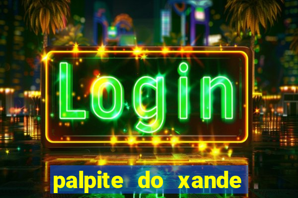 palpite do xande de hoje