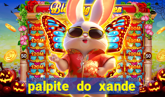 palpite do xande de hoje