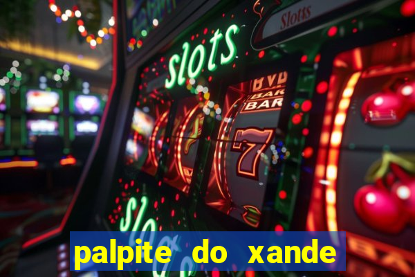 palpite do xande de hoje