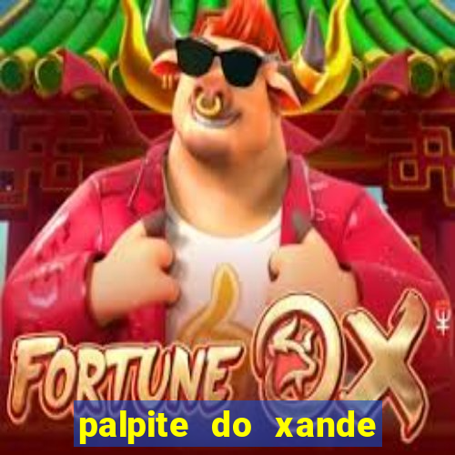 palpite do xande de hoje