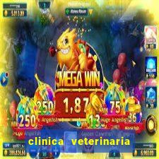 clinica veterinaria cuidar betim