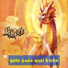 gato puxa qual bicho