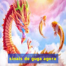 sinais do guga agora