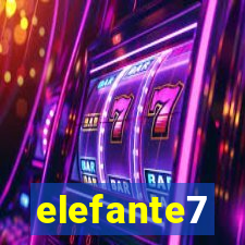 elefante7