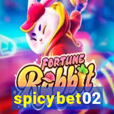 spicybet02