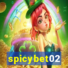 spicybet02