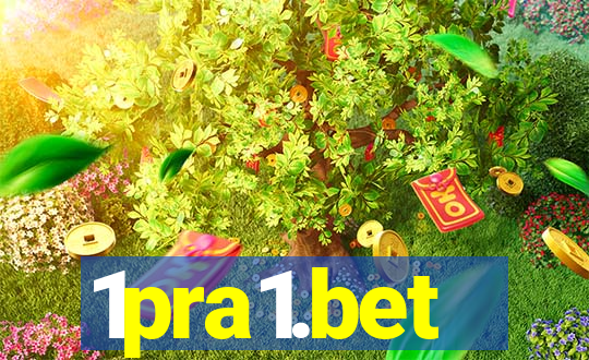 1pra1.bet