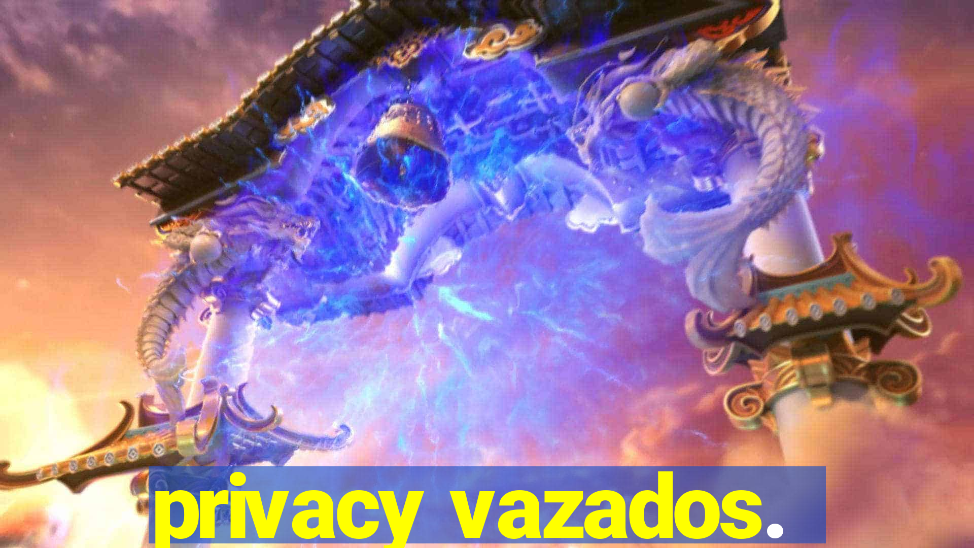 privacy vazados.