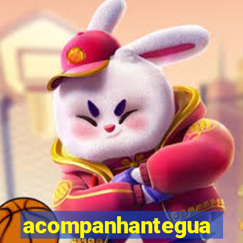 acompanhanteguanambi