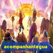 acompanhanteguanambi