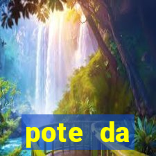 pote da prosperidade riqueza e fortuna 2024