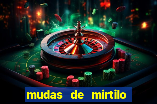 mudas de mirtilo em porto alegre