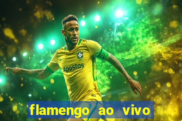 flamengo ao vivo hd play