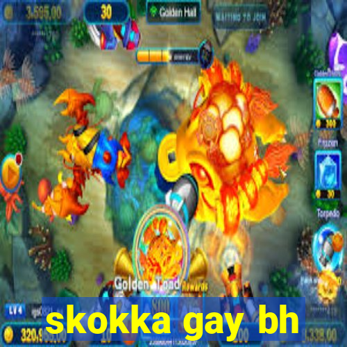 skokka gay bh