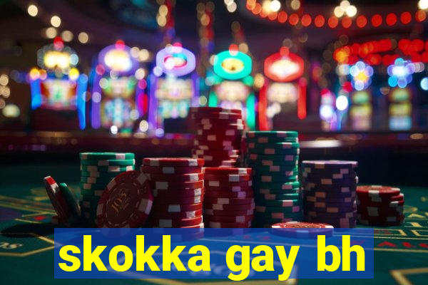 skokka gay bh