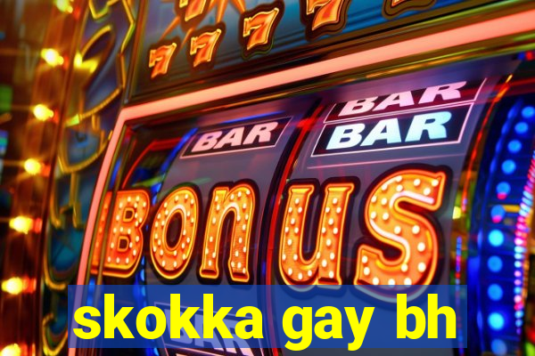 skokka gay bh