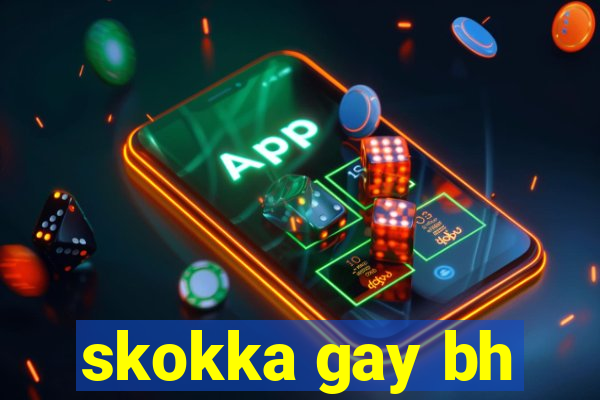 skokka gay bh