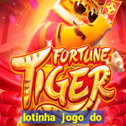 lotinha jogo do bicho como funciona