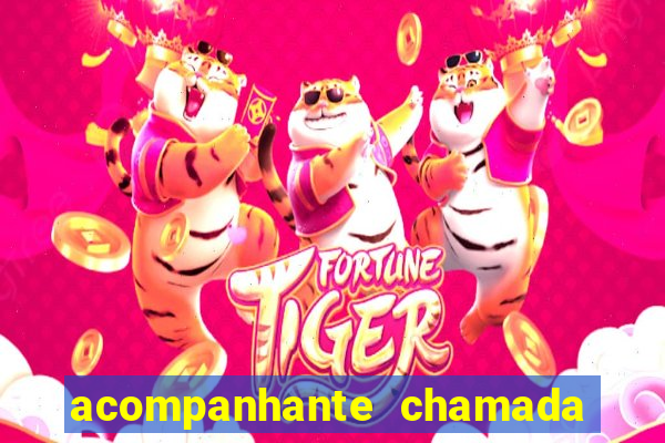 acompanhante chamada de video