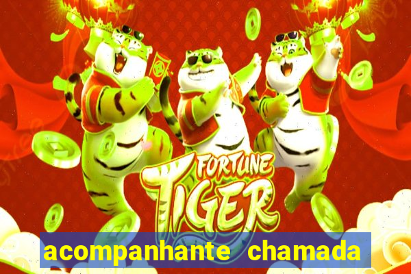 acompanhante chamada de video