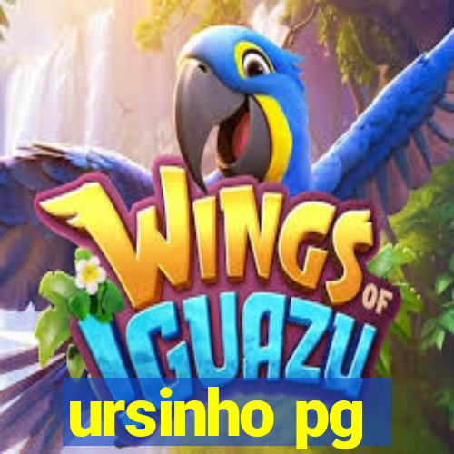 ursinho pg