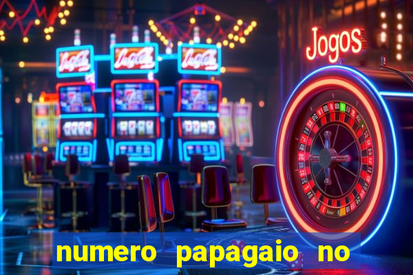 numero papagaio no jogo do bicho