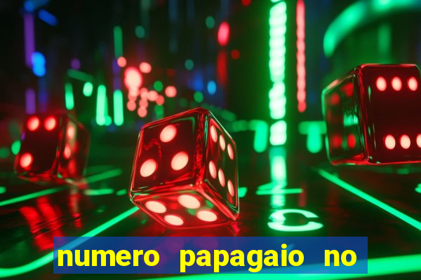 numero papagaio no jogo do bicho