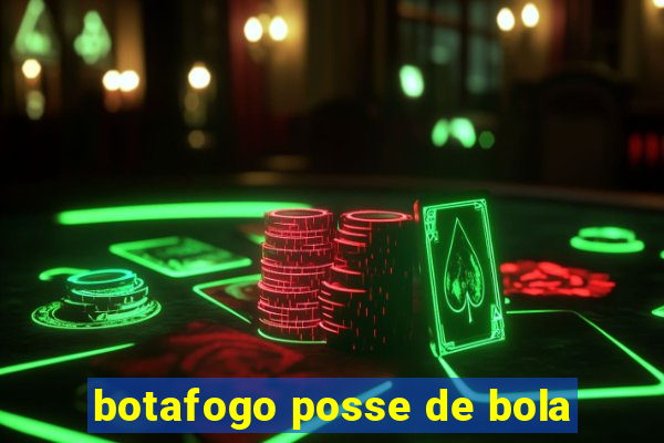 botafogo posse de bola